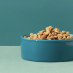 PROFECO revela la mejor croqueta barata y nutritiva para tu perro